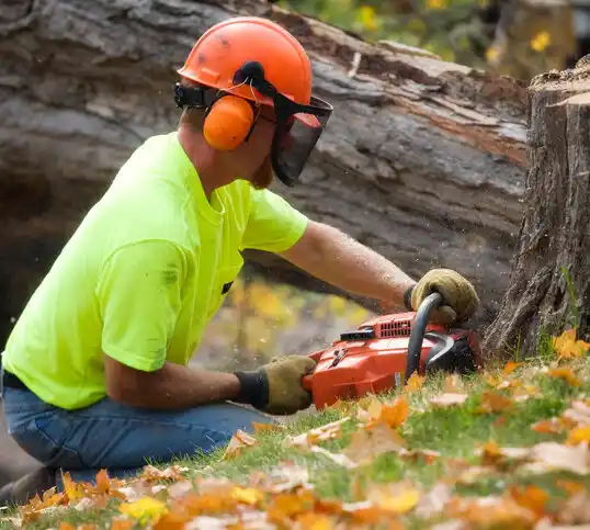 tree services North Hampton